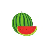 Watermelon | Grocery Store items Names in English