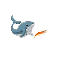 Whale – Krill - Animals Foods Names