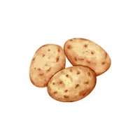 White Potatoes