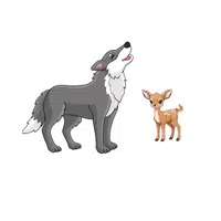 Wolf – Deer - Animals Foods Names
