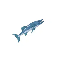 Barracuda | Water Animals Names in English