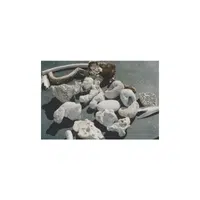 Beachcombing | Holiday Activities Names