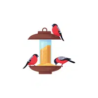 Bird feeder