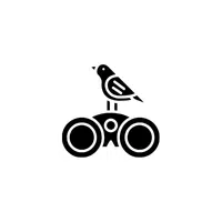 Bird Watching | Holiday Activities Names