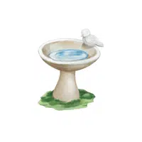 Birdbath | Garden Decor Items Names in English
