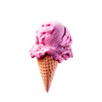 Blackberry | Ice Cream Flavors Names