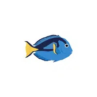 Blue Tang | Water Animals Names in English