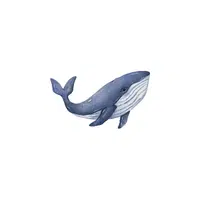 Blue Whale