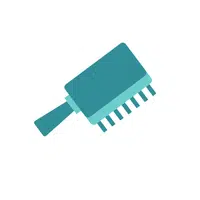 Boar Bristle Brush