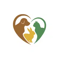 Caring for pets | Good Habits Names in English