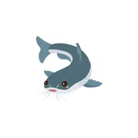 Catfish Water Animals Names in English