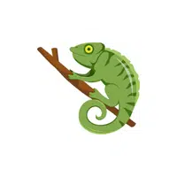 Chameleon | Reptiles Names in English