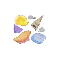 Collecting Shells