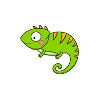 Common Iguana