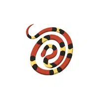 Coral Snake | Reptiles Names in English