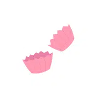 Cupcake Liners