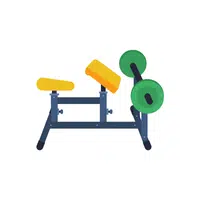 Curl Bench | Fitness Equipment Names in English