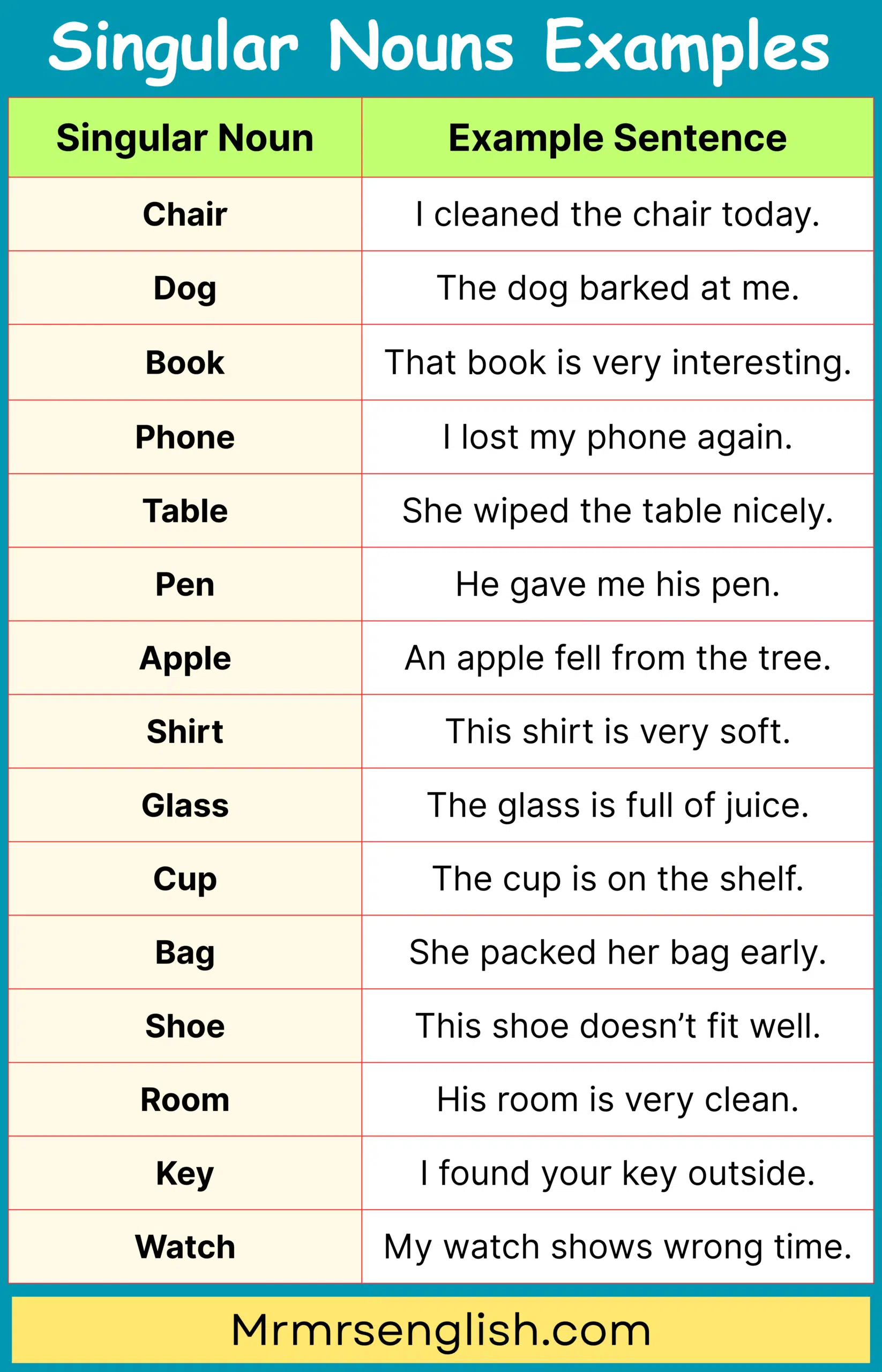 Daily Use Singular Noun in Sentences for Beginners