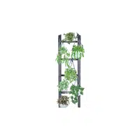 Decorative ladder