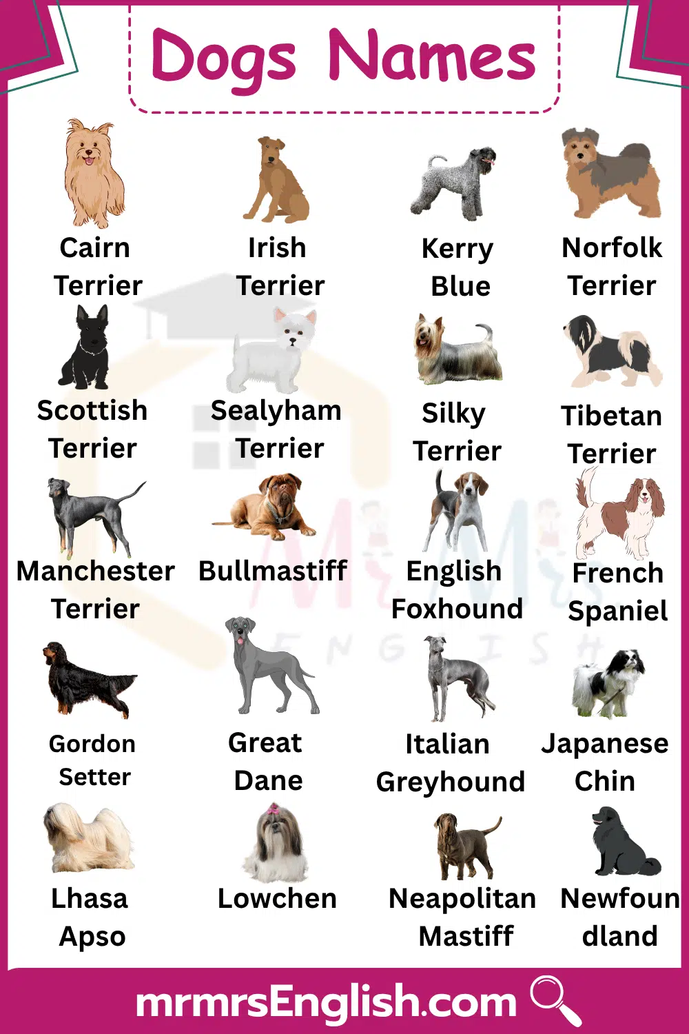 Dogs Pictures and Names in English