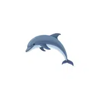 Dolphin | Water Animals Names in English