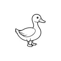 Duck | Coloring Book Objects Names in English