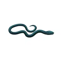 Eastern Indigo Snake