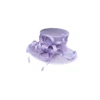 Fancy | Hat Styles Names for Kids in English
