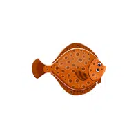 Flounder | Water Animals Names in English