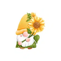 Garden gnome | Garden Decor Items Names in English