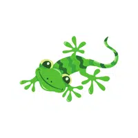 Gecko | Reptiles Names in English
