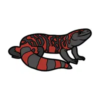 Gila Monster | Reptiles Names in English