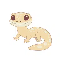 Golden Gecko | Reptiles Names in English