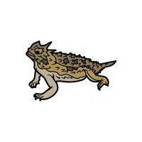 Horned Lizard | Reptiles Names in English