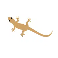 House Gecko | Reptiles Names in English