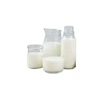 Lactose | Dairy Products Names in English