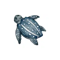 Leatherback Turtle