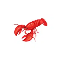 Lobster | Water Animals Names in English