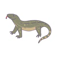 Monitor Lizard | Reptiles Names in English