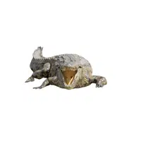 Nile Crocodile | Reptiles Names in English