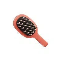 Paddle Brush