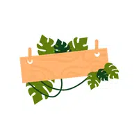 Party Signboard | Birthday Party Items Names in English