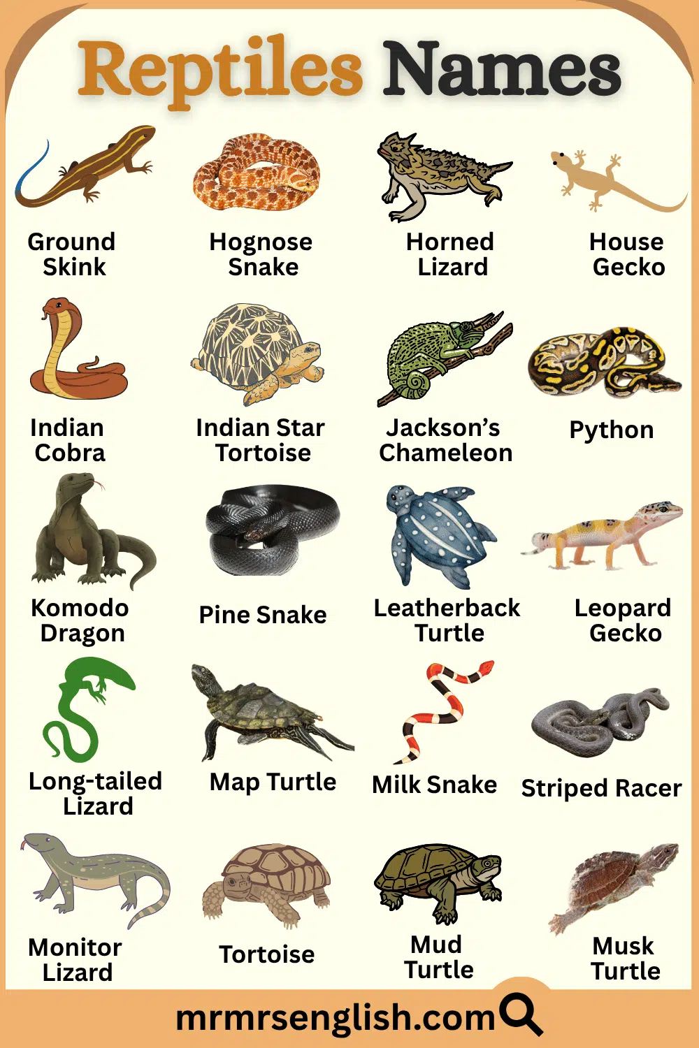 Pictures and names of Reptiles