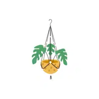 Plant hanger | Garden Decor Items Names in English