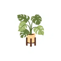 Plant stand