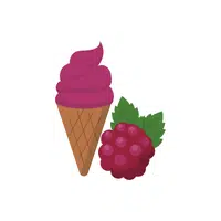 Raspberry | Ice Cream Flavors Names