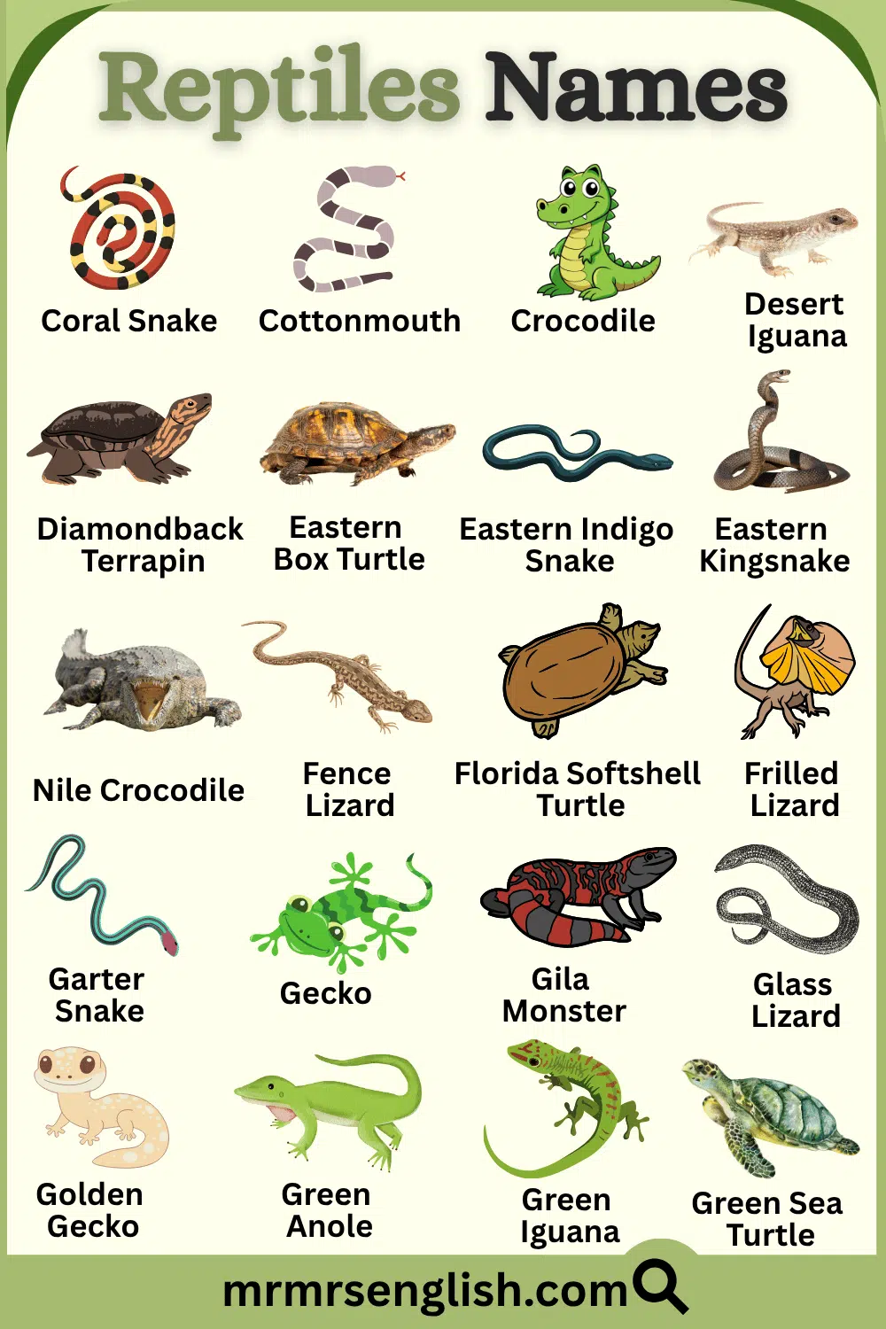 Reptiles Names with their Pictures