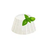 Ricotta