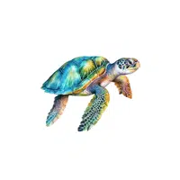 Sea Turtle