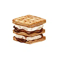 S’mores | Ice Cream Flavors Names